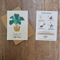 Carte à planter chalut 