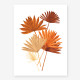 Affiche large Dry palm leaves