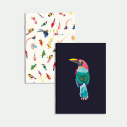 Duo de carnets Neon birds
