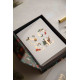 Box de 10 cartes - Set Christmas