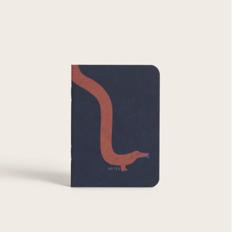 Carnet de poche Acrobatic