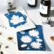 Kit DIY - Mon atelier cyanotype