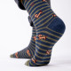 Chaussettes Animaux - Chien - Taille 41/46