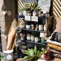 Des jolis pots, des jolies plantes, des fleurs séchées, de la superbe vaisselle, des idées cadeaux à gogo (ça se dit encore ?!), nos boutiques (et la team !) sont fin prêtes pour vous accueillir pour ces deux jours avant la fête des mamans et des superwomen de vos vies !
L'effet canopée, Lyon 1er, sera ouverte ce vendredi et ce samedi de 11h à 19h non stop.
Le bruit du bonheur, Lyon 2, sera ouverte de 11h à 13h et de 14h à 19h.
On espère vous voir nombreux.ses !
Belle fin de semaine tout le monde 🌞🍀🌸